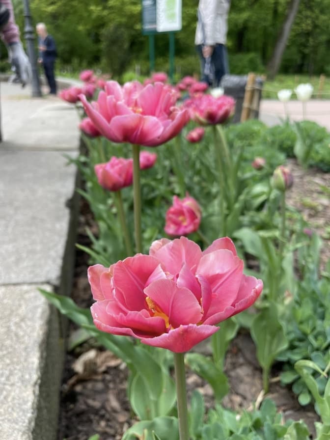 Фото: управління екології Львова