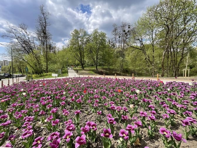 Фото: управління екології Львова
