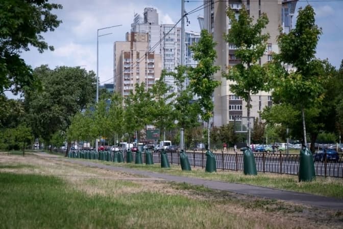 У Києві продовжують встановлювати торби для поливу дерев