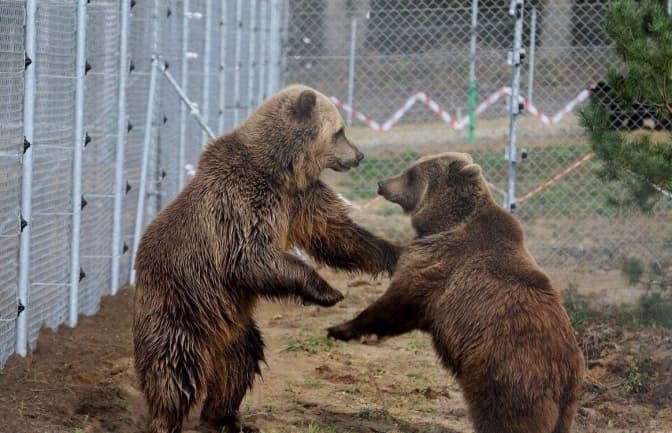 Фото: Уніан