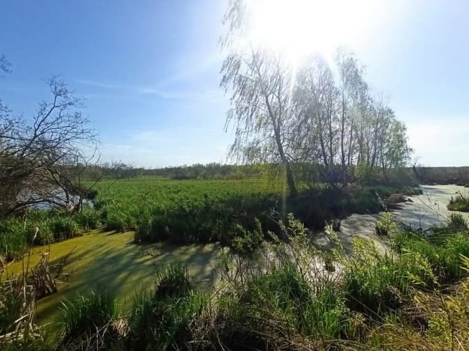 Фото: управління екології