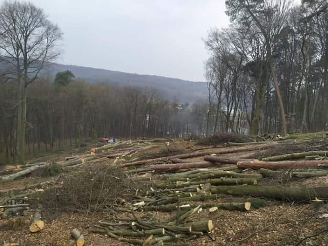 Фото: Роман Лозан