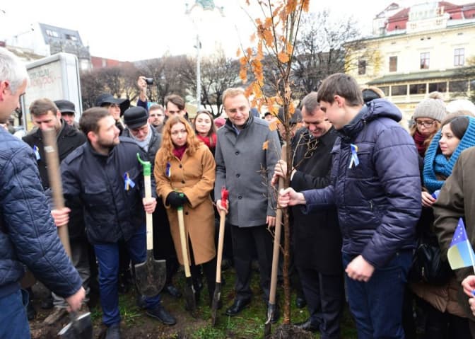 У центрі Львова висадили дуб. Фото