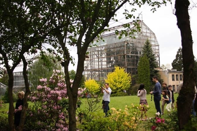 У Львові зацвіли білосніжні магнолії та рододендрони. Віртуальна екскурсія