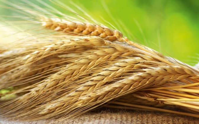 Фото: nardepjournal.com