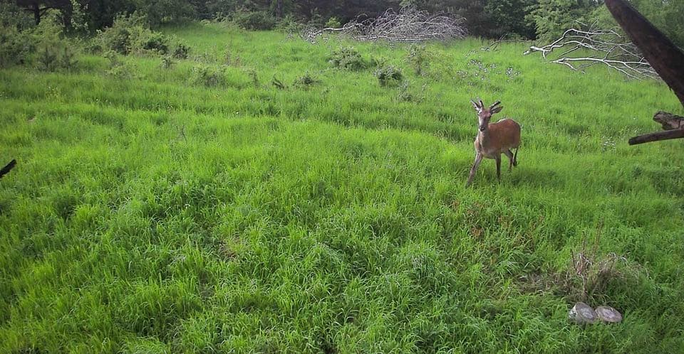 Фото: 7 прикордонний Карпатський загін