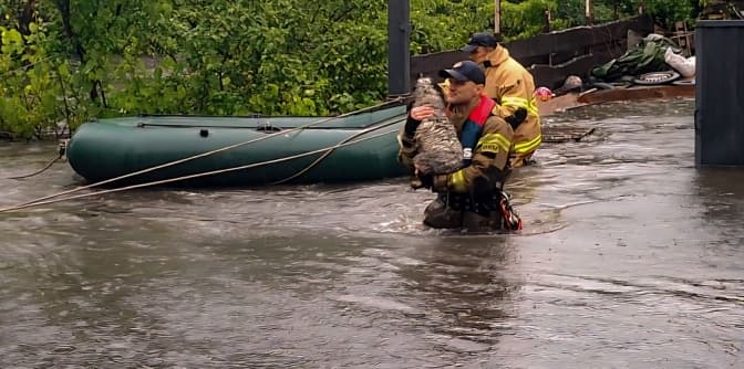 Фото: ДСНС Львівщини