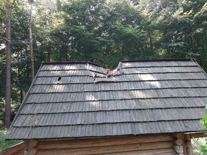 «Шевченківський гай» постраждав від буревію. Як львів'яни можуть допомогти