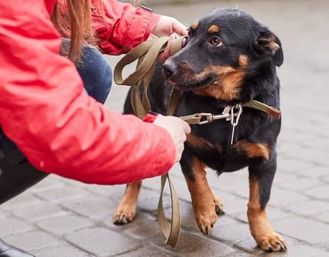 фото: Ірина Шелест