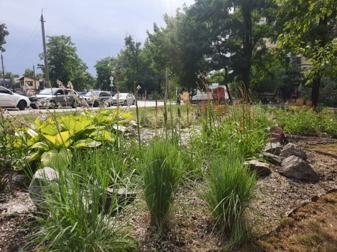 У Києві з’являться ще чотири дощові садки для боротьби з підтопленнями та спекою