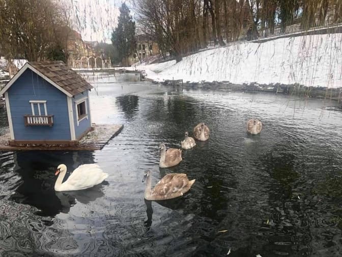 Фото: управління екології ЛМР
