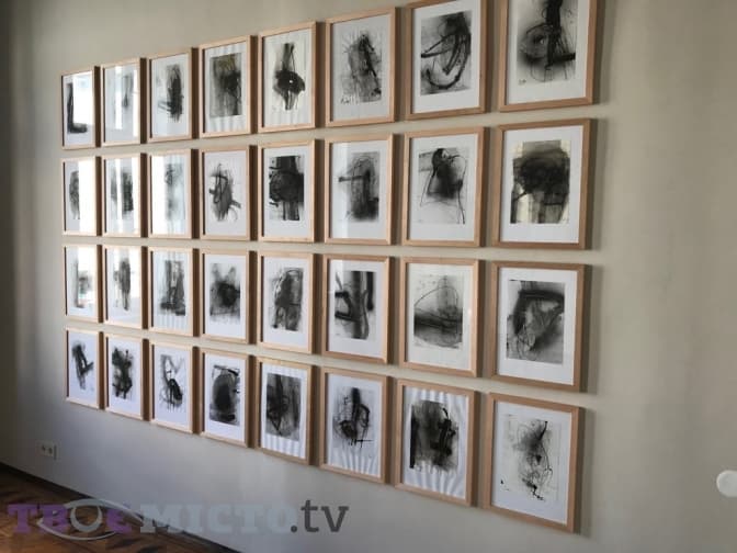 Фото: Тарас Бабенчук