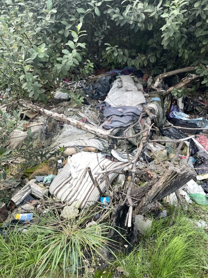 Фото: Державна екологічна інспекція у Львівській області