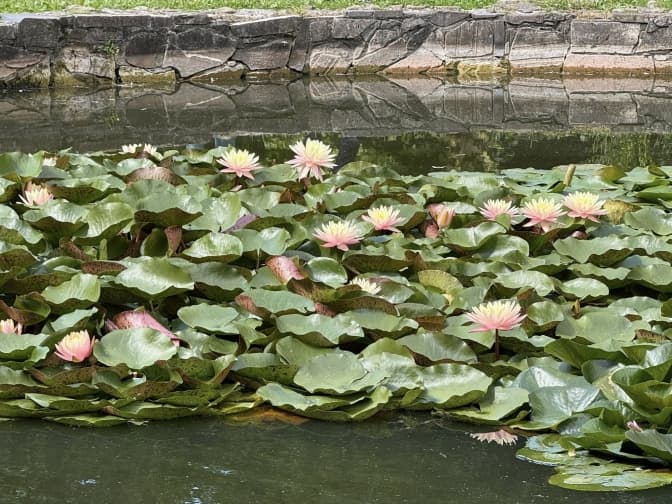 Фото: Управління екології Львів