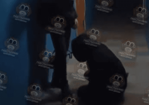 У Білій Церкві підлітки знову побили 16-річну дівчинку