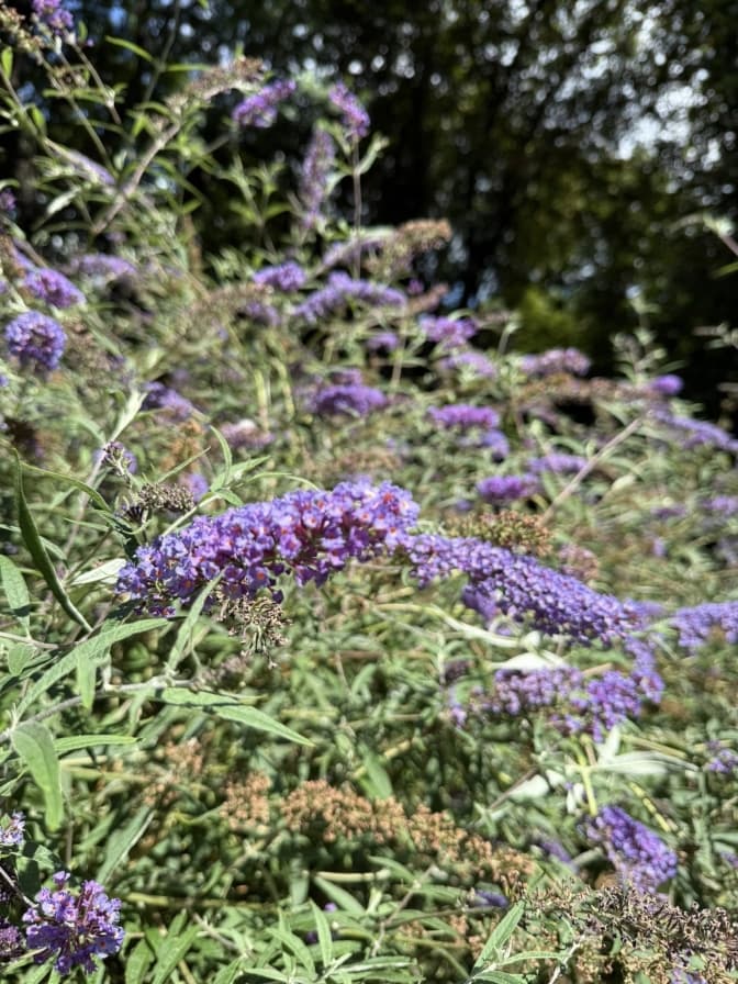 Фото: Управління екології Львів