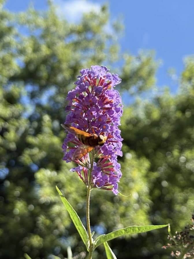 Фото: Управління екології Львів