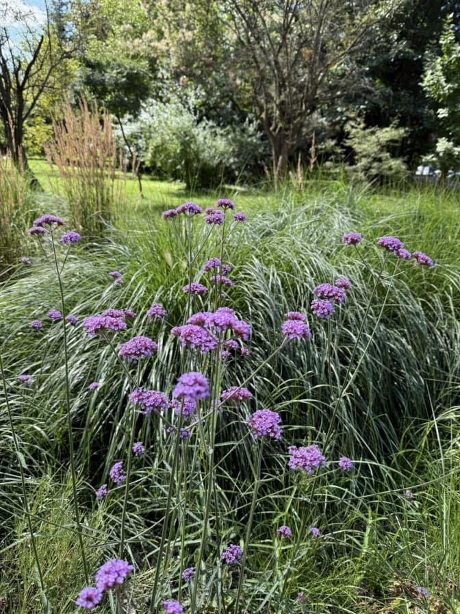 Фото: Управління екології Львів