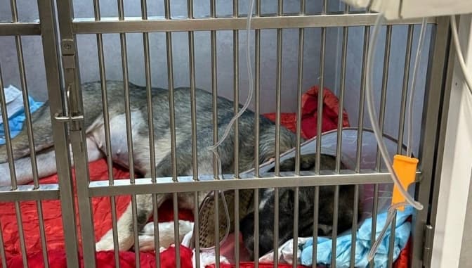 Фото домівки