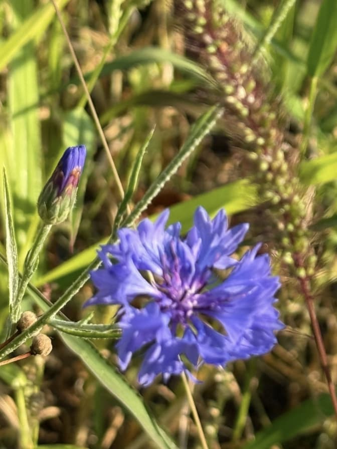 Фото: управління екології Львова