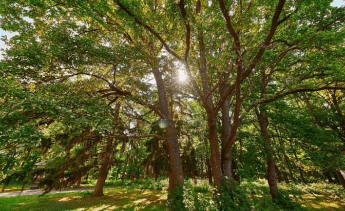 Взимку на ВДНГ відкриють глемпінг «Намети»