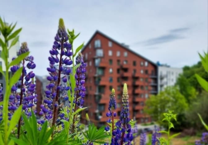 Львівські депутати знову не підтримали заборону висотної забудови Під Голоском