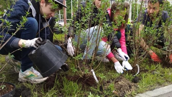 Львів'ян закликають поливати дерева в місті під час спеки