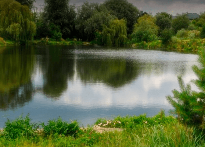 На Львівщині хотіли витратити 18 млн грн на очищення водойми