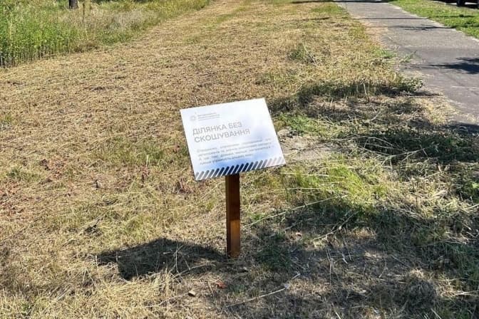 Наступного року в Києві збільшать кількість ділянок без скошування трави
