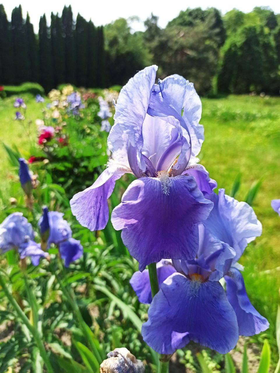 Фото зі сторінки ботсаду у Facebook