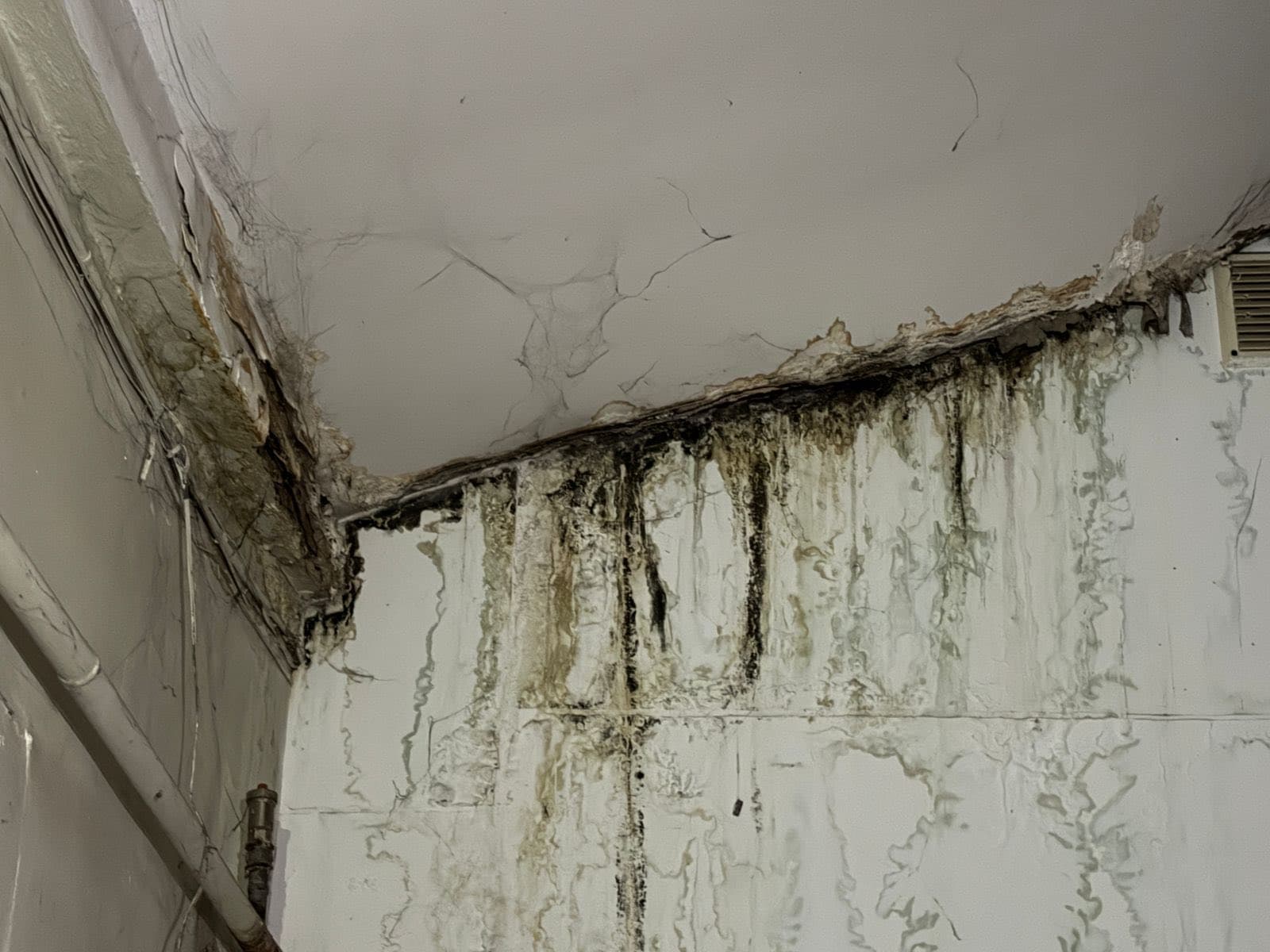 фото: євген бойко