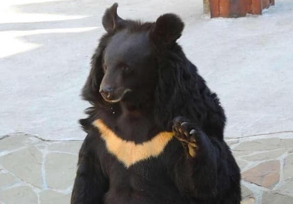 Фото: Львівська митниця