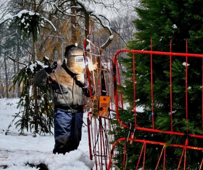 У Львові у Парку культури обгороджують дерева, щоб не вкрали