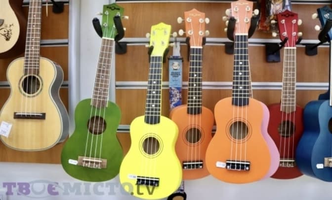 Фото: Анна Чистякова