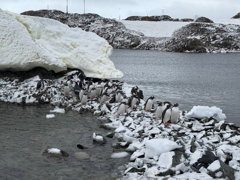 фото: Зоя Швидка