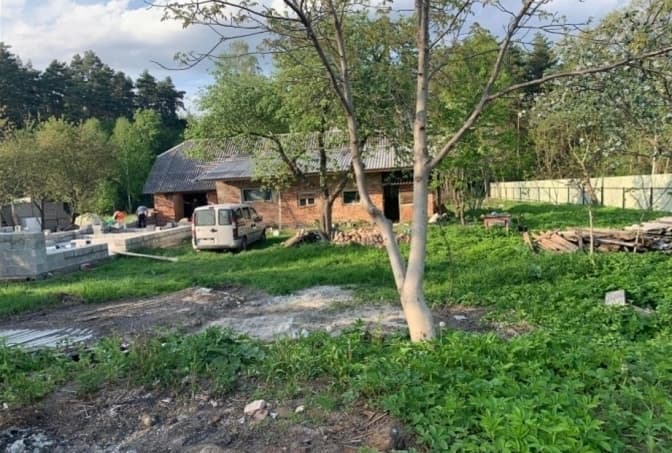 Поблизу Львова планують збудувати новий притулок для тварин