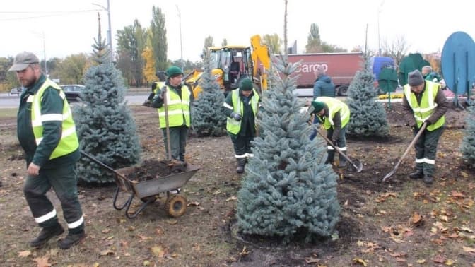 Вздовж проспекту Бажана в Києві висадили липи та ялинки