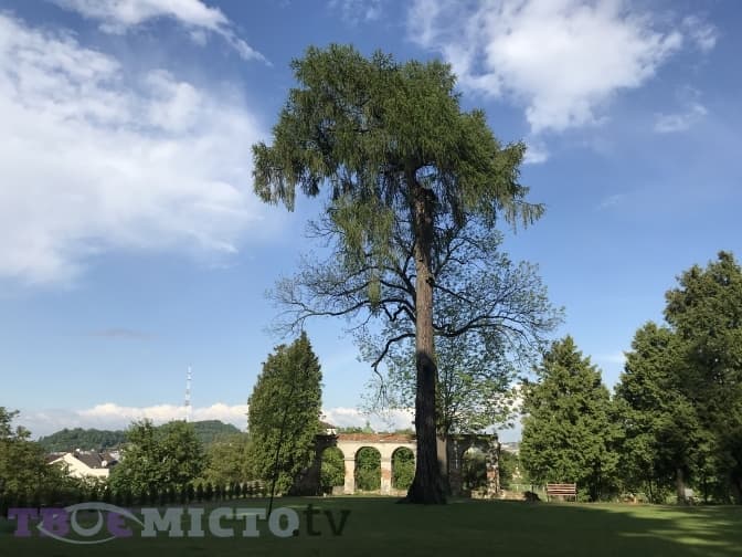 Львів'ян кличуть на концерти в Митрополичих садах. Програма і вартість квитків