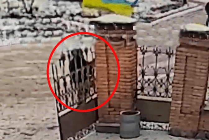 У Білій Церкві на Київщині розшукують чоловіка, який зірвав прапор України з флагштока