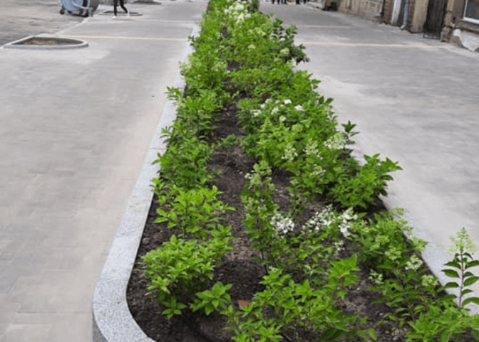 Фото: Павло Постоєнко