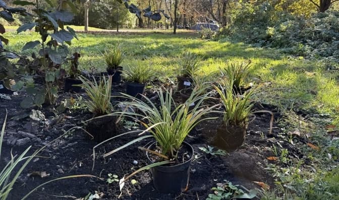 Фото: управління екології Львова

