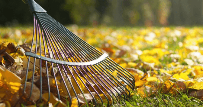 Дніпровський і Шевченківський райони — лідери за порушеннями благоустрою восени в Києві