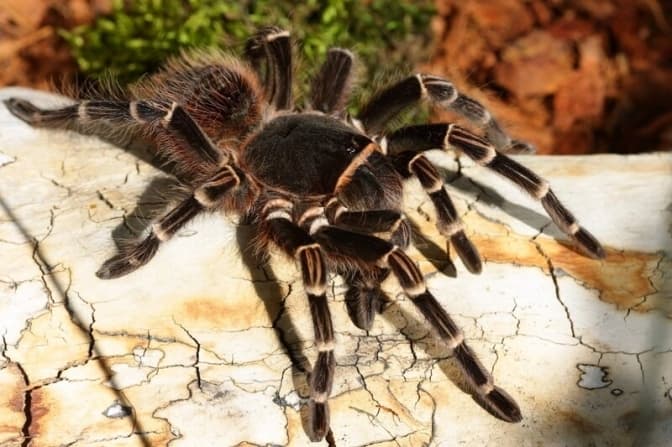 фото з відкритих джерел