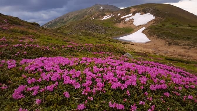 Фото: Сергій Сапіга