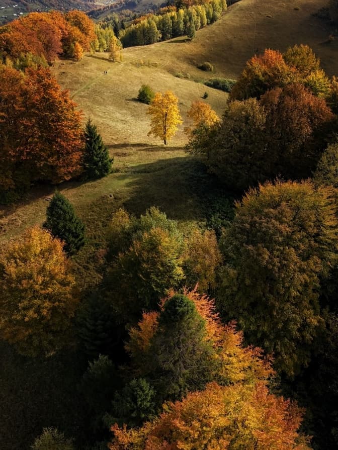 Фото: Антон Птушкін