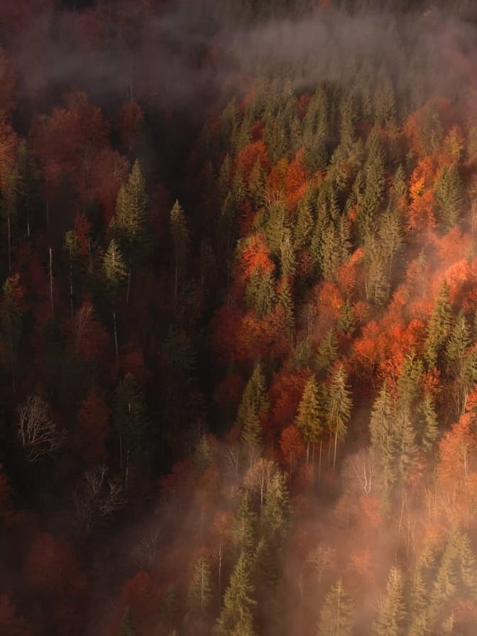 Фото: Антон Птушкін