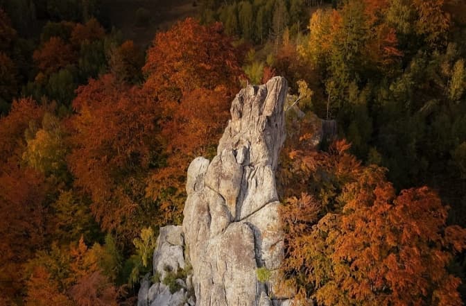Фото: Антон Птушкін