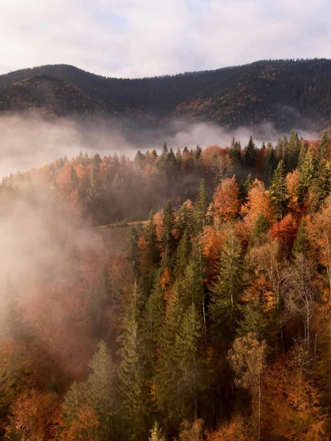 Фото: Антон Птушкін