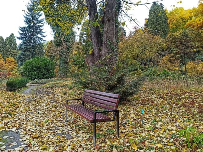 Фото: Ботанічний сад ЛНУ