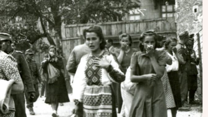 Фото: Устина Стефанчук